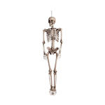 Deko-Figur Skelett, 160 cm