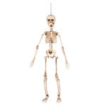 Deko-Skelett, 50 cm, hngend, beweglich
