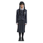 NEU Kinder-Kostm Wednesday Addams Schul-Uniform, schwarz-grau gestreift, 3-tlg. - verschiedene Gren