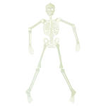 Skelett nachtleuchtend, ca. 150 cm