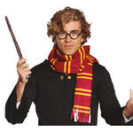 NEU Zubehr-Set Zauberer, gestreifter Schal und typische Brille