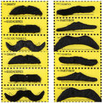 Bartkarte mit 12 verschiedene, schwarze Brte