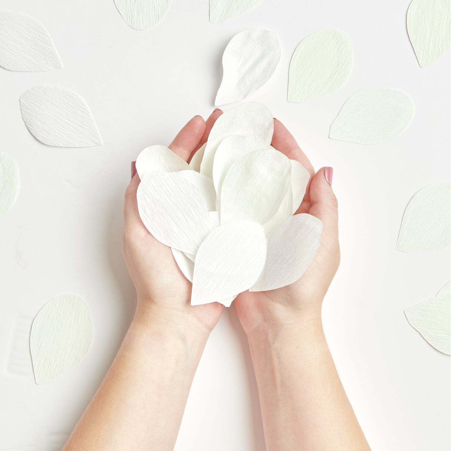 Krepp-Konfetti Rosenbl�tter, Wei�, 20 g Bild 3