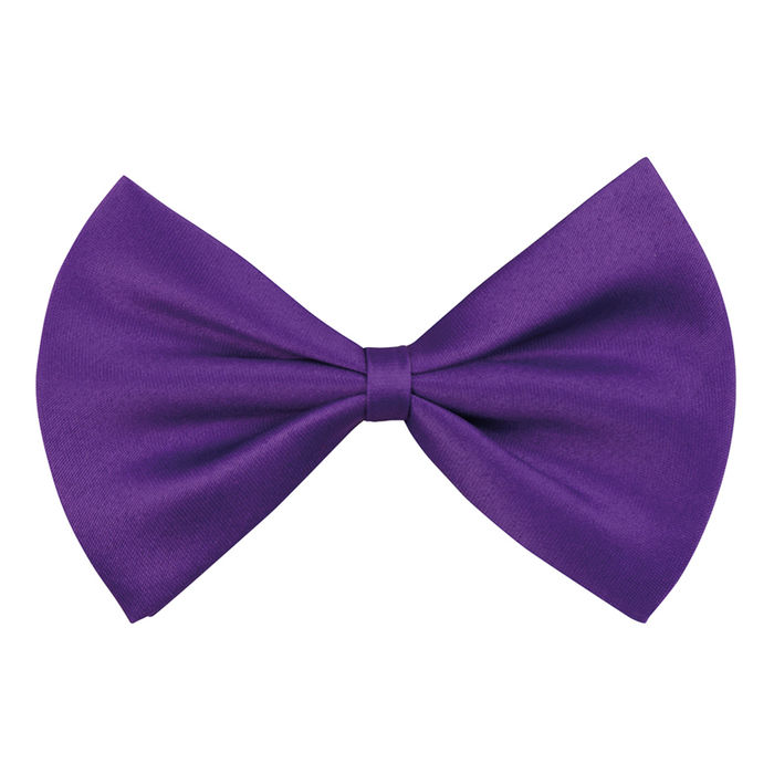 SALE Fliege, lila