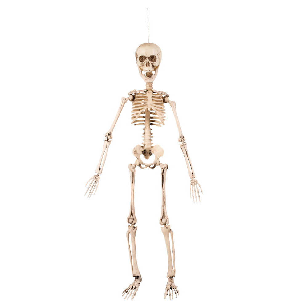 Deko-Skelett, 50 cm, hängend, beweglich - Halloween Figuren & Groß-Deko  Halloween Produkte 