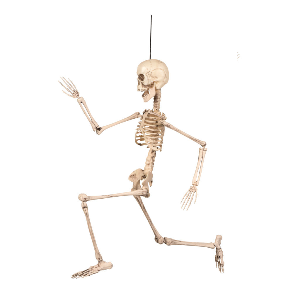 Deko-Skelett, 50 cm, hängend, beweglich Bild 2