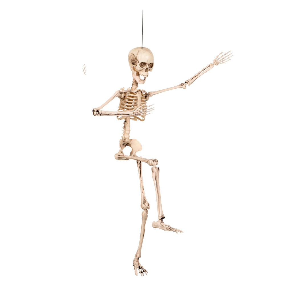 Deko-Skelett, 50 cm, hängend, beweglich Bild 3