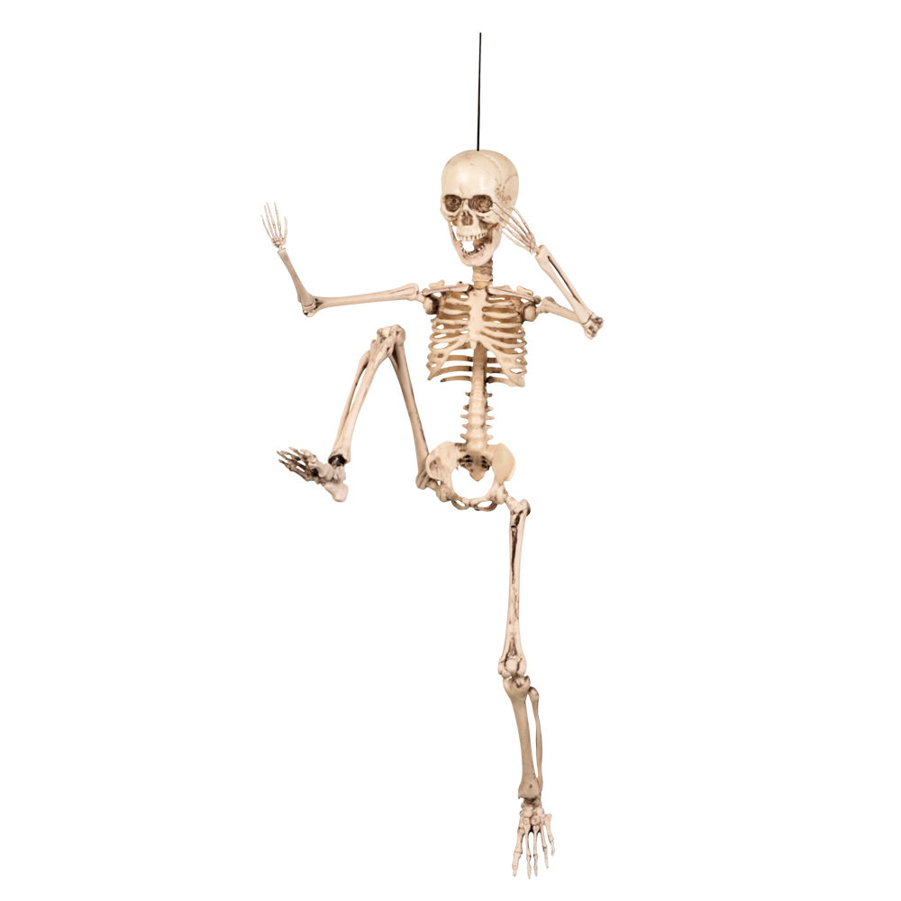 Kaufe 6 Stück Mini-Skelettfiguren, kleine Skelette für  Halloween-Dekoration, Halloween-Dekorationen zum Basteln, Spukhaus-Zubehör,  Partygeschenke