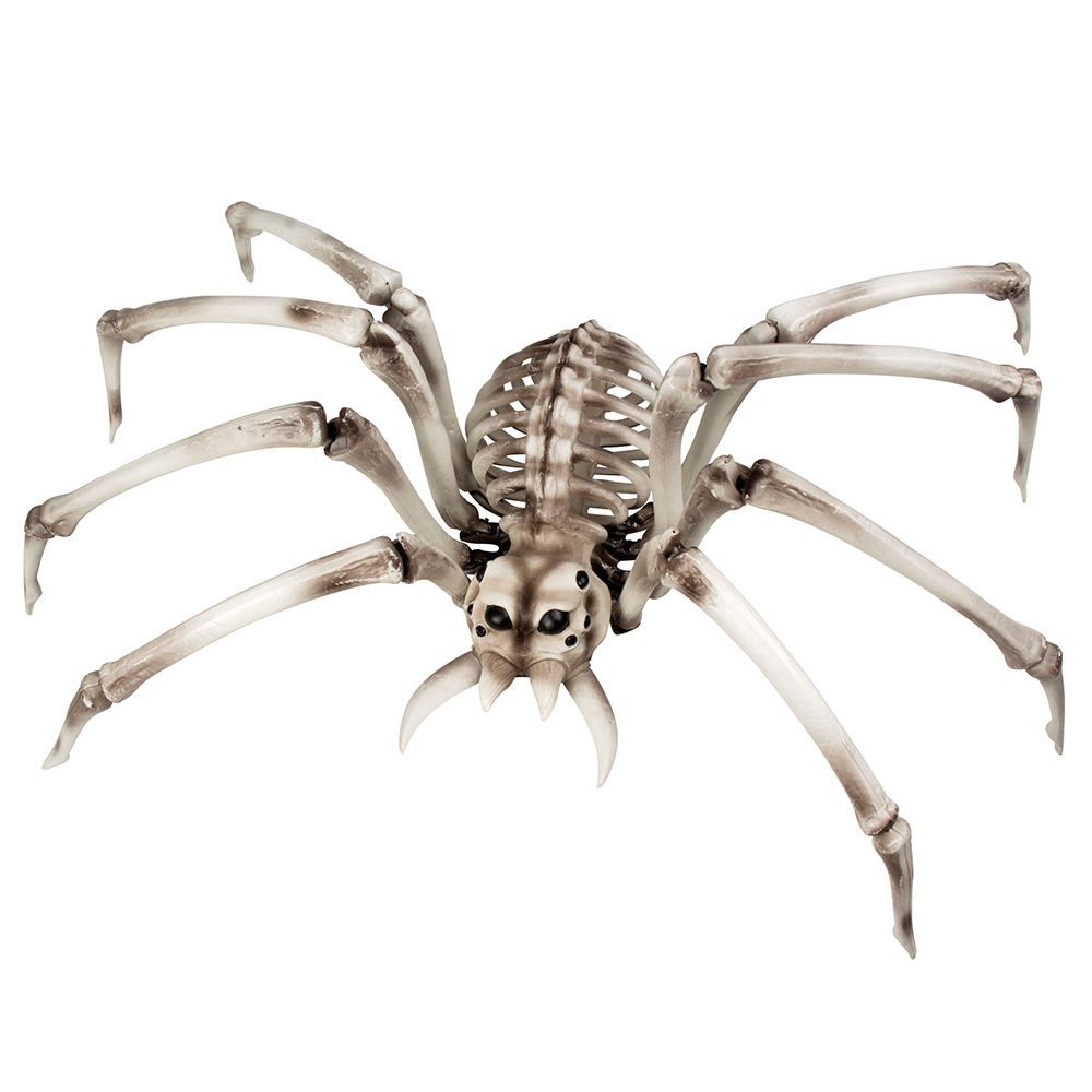Deko-Figur Spinnenskelett, 82 x 48 cm