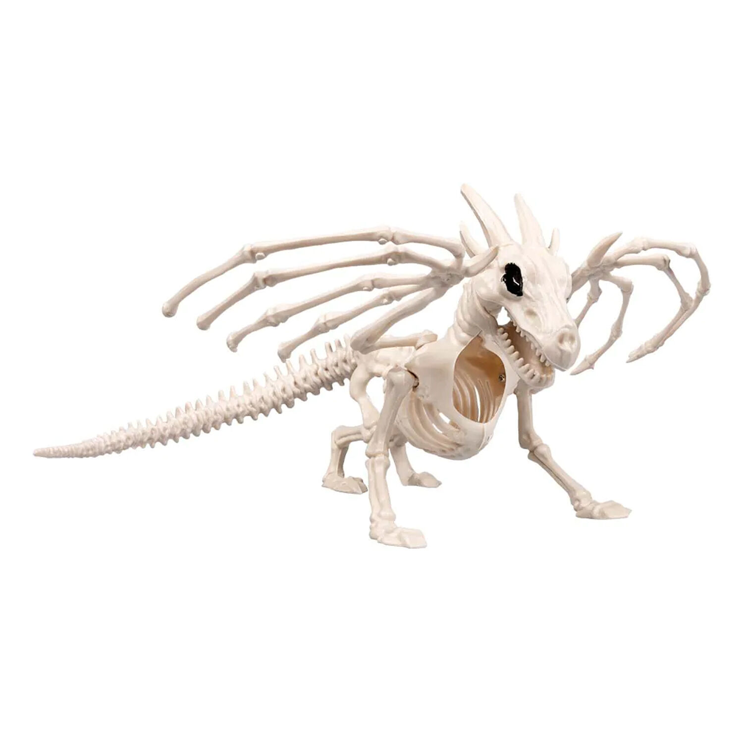 NEU Skelett Drache, 14x25x14cm