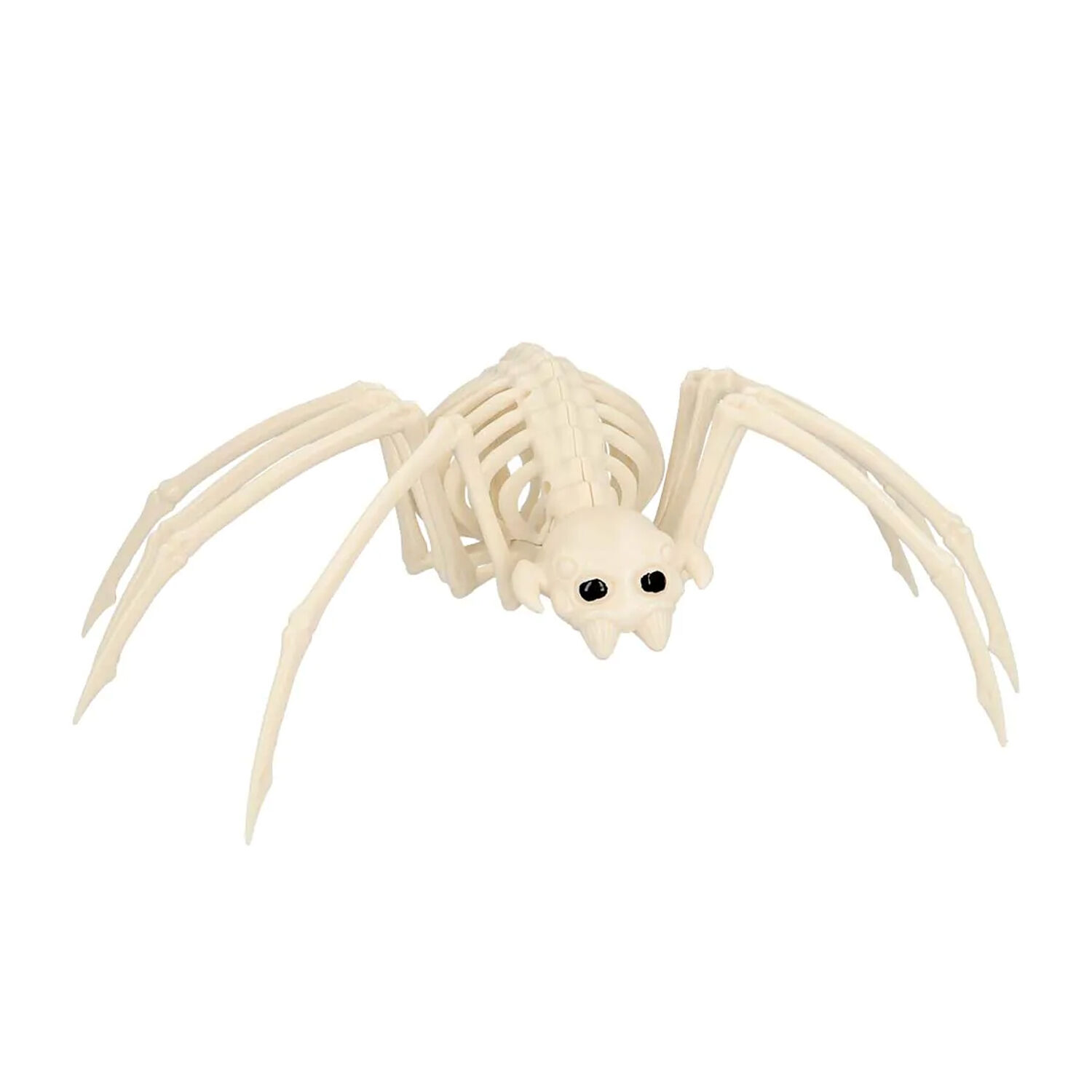 NEU Skelett Spinne, 37x21x11cm