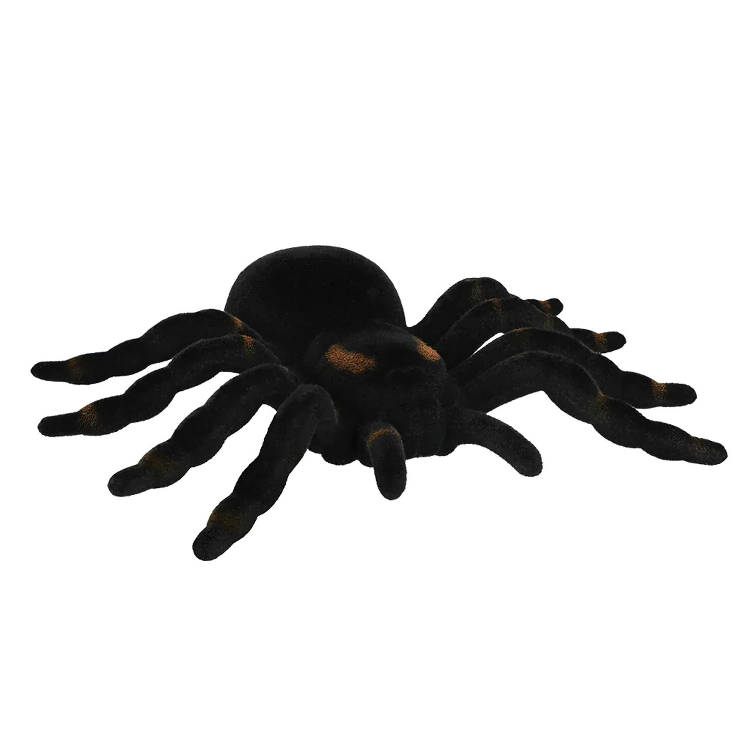 NEU Deko Spinne Tarantula, 16x11cm