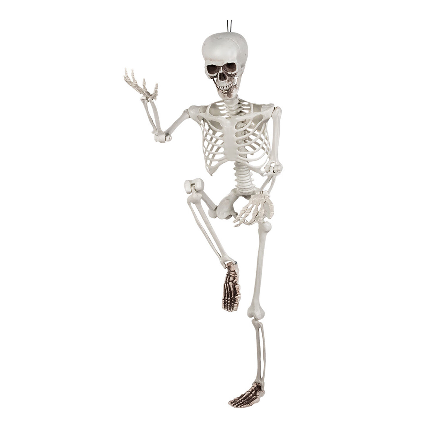 NEU Halloween-Deko Skelett, ca. 90cm, mit beweglichen Gliedern Bild 2