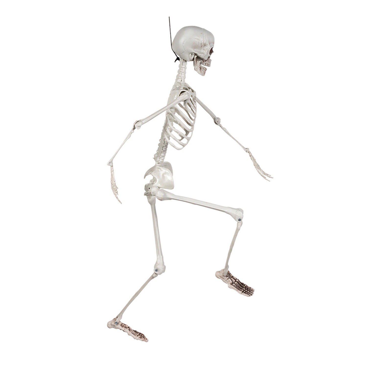 NEU Halloween-Deko Skelett, ca. 90cm, mit beweglichen Gliedern Bild 3