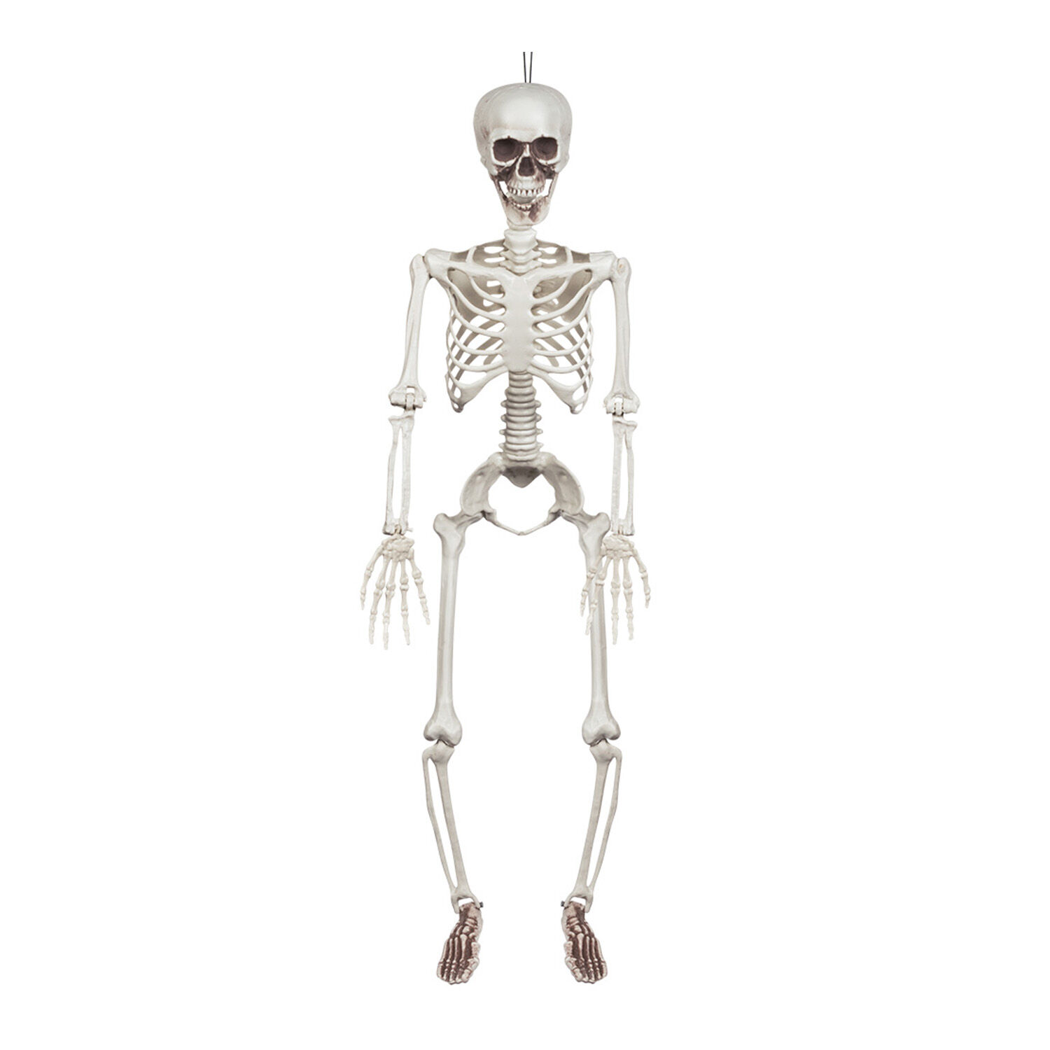 NEU Halloween-Deko Skelett, ca. 90cm, mit beweglichen Gliedern - Halloween  Figuren & Groß-Deko Halloween Produkte 