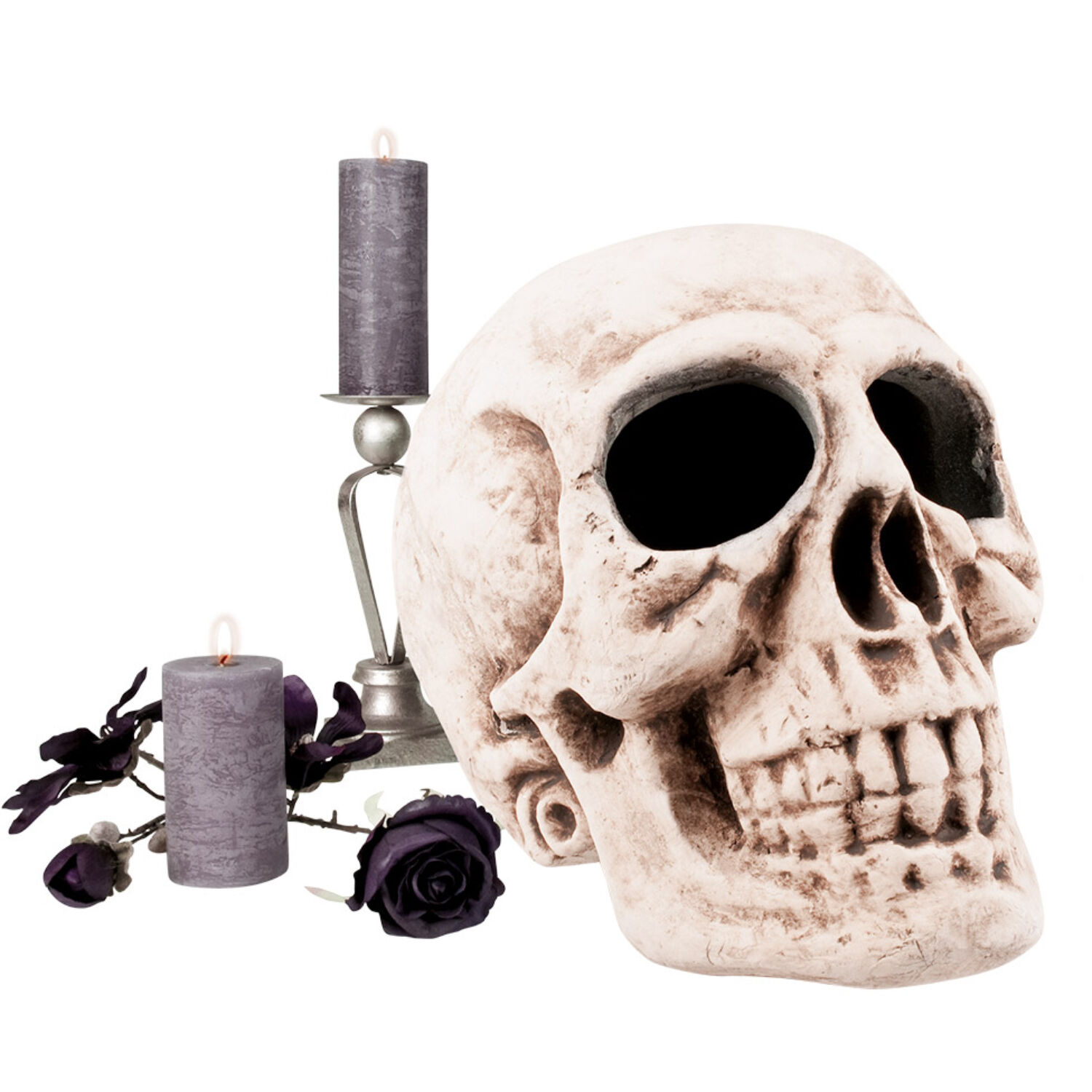 Freundliche Halloween-Deko Totenkopf und Spinne 60 cm , günstige Halloween  Partydeko bei HorrorKlinik