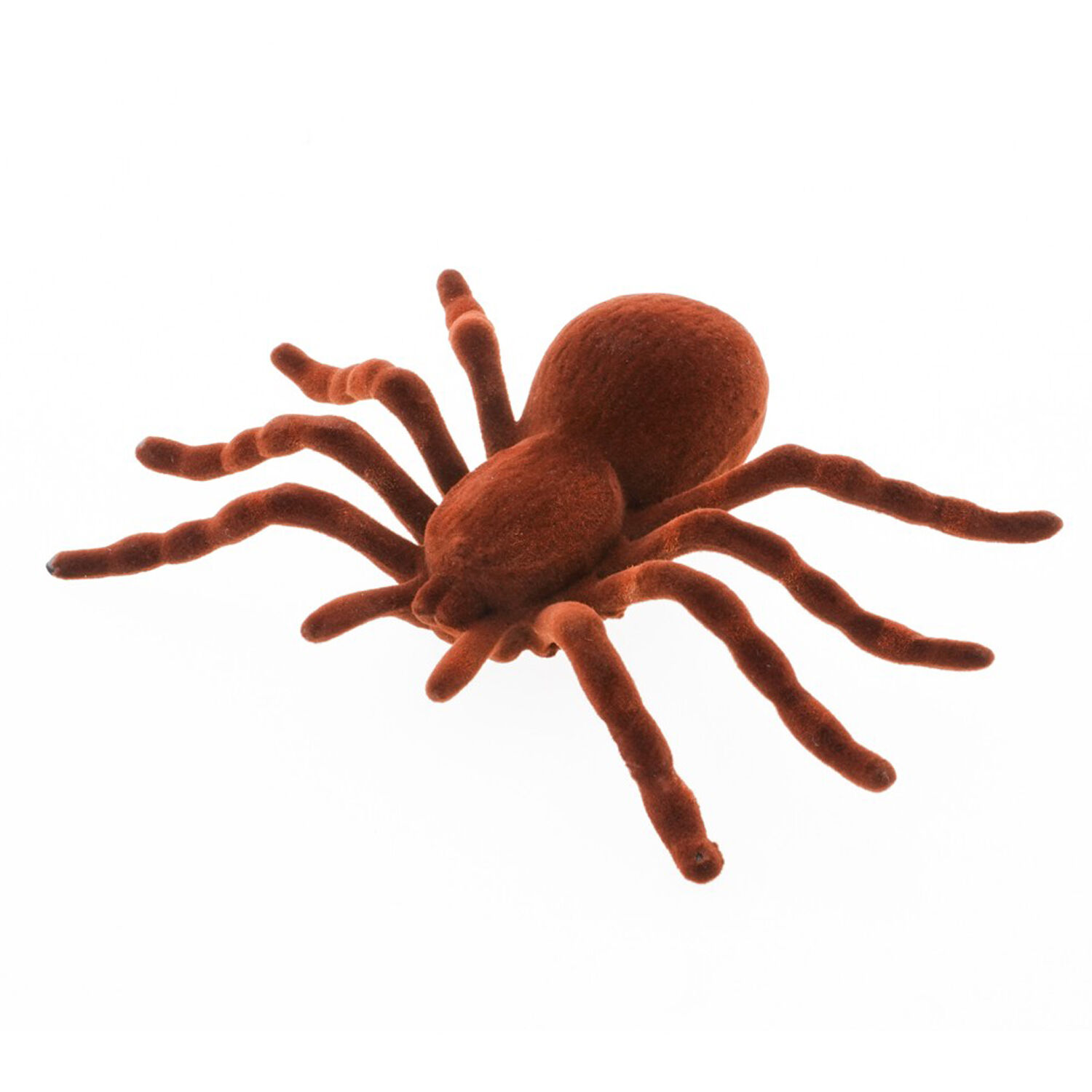 SALE Spinne, braun, beflockt, Gre ca. 18 cm x 11,5 cm x 3,5 cm