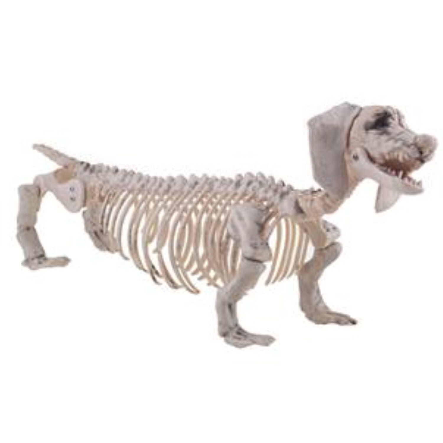 NEU Halloween-Deko-Figur Dackel-Skelett, ca. 56x13x22cm