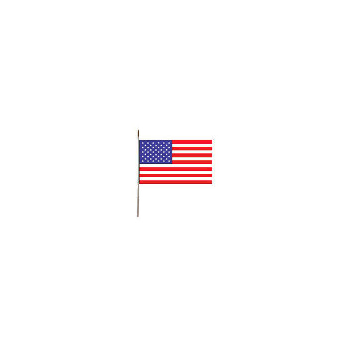 Fahne U.S.A. aus Papier, 12x24 cm
