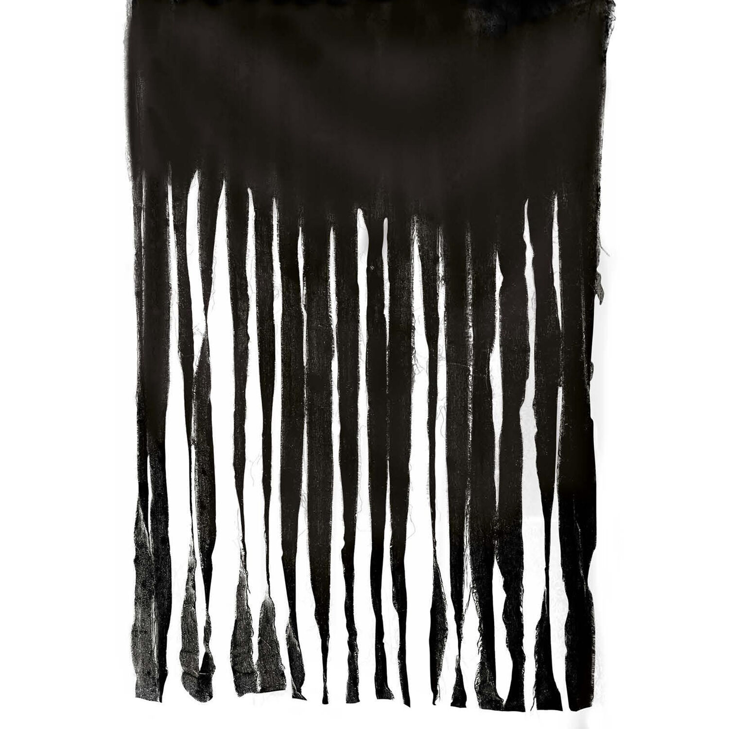 NEU Trvorhang Halloween-Fetzen, 1x2m, schwarz