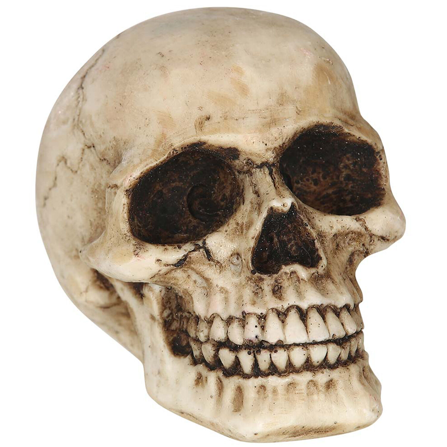 Totenkopf in Kette Schädel Halloween Deko 28 cm, 12,49 €