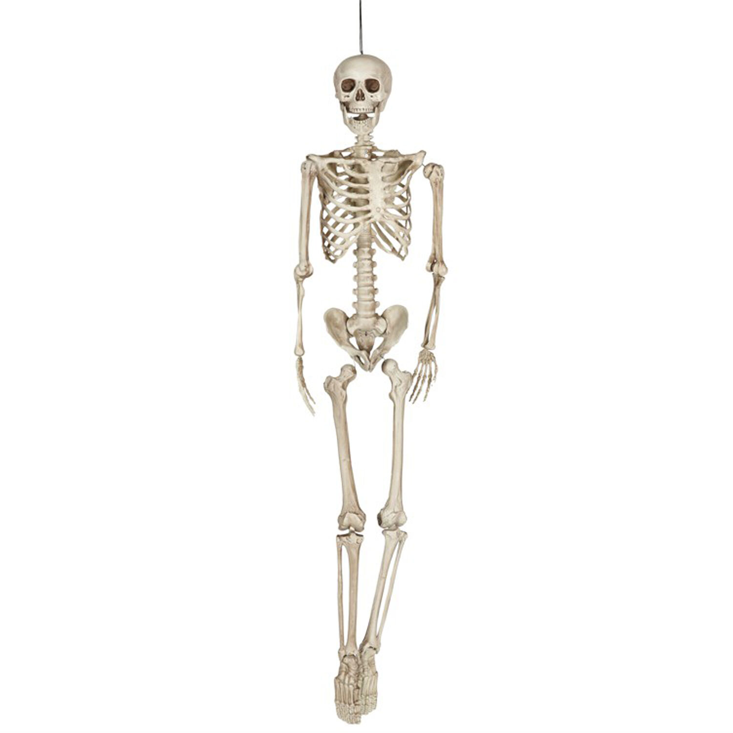 NEU Halloween-Deko-Figur Skelett, ca. 160cm - Halloween Figuren & Groß-Deko  Halloween Produkte 