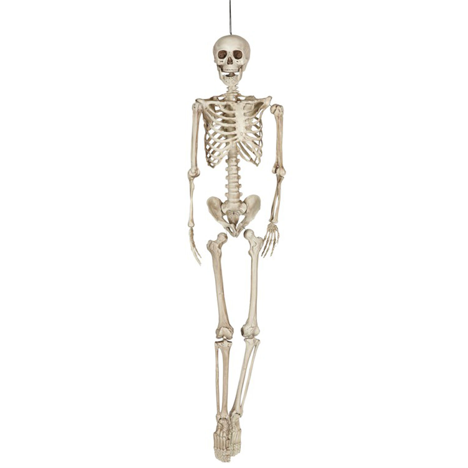 NEU Halloween-Deko-Figur Skelett, ca. 160cm