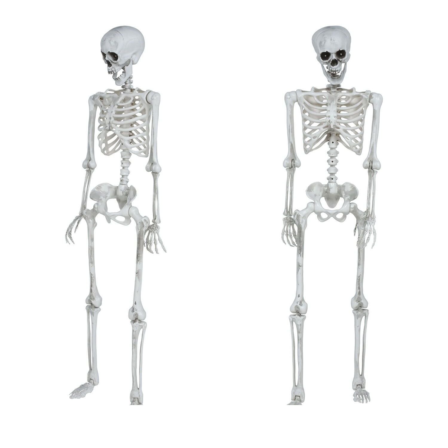 NEU Halloween Deko Skelett, ca.145cm