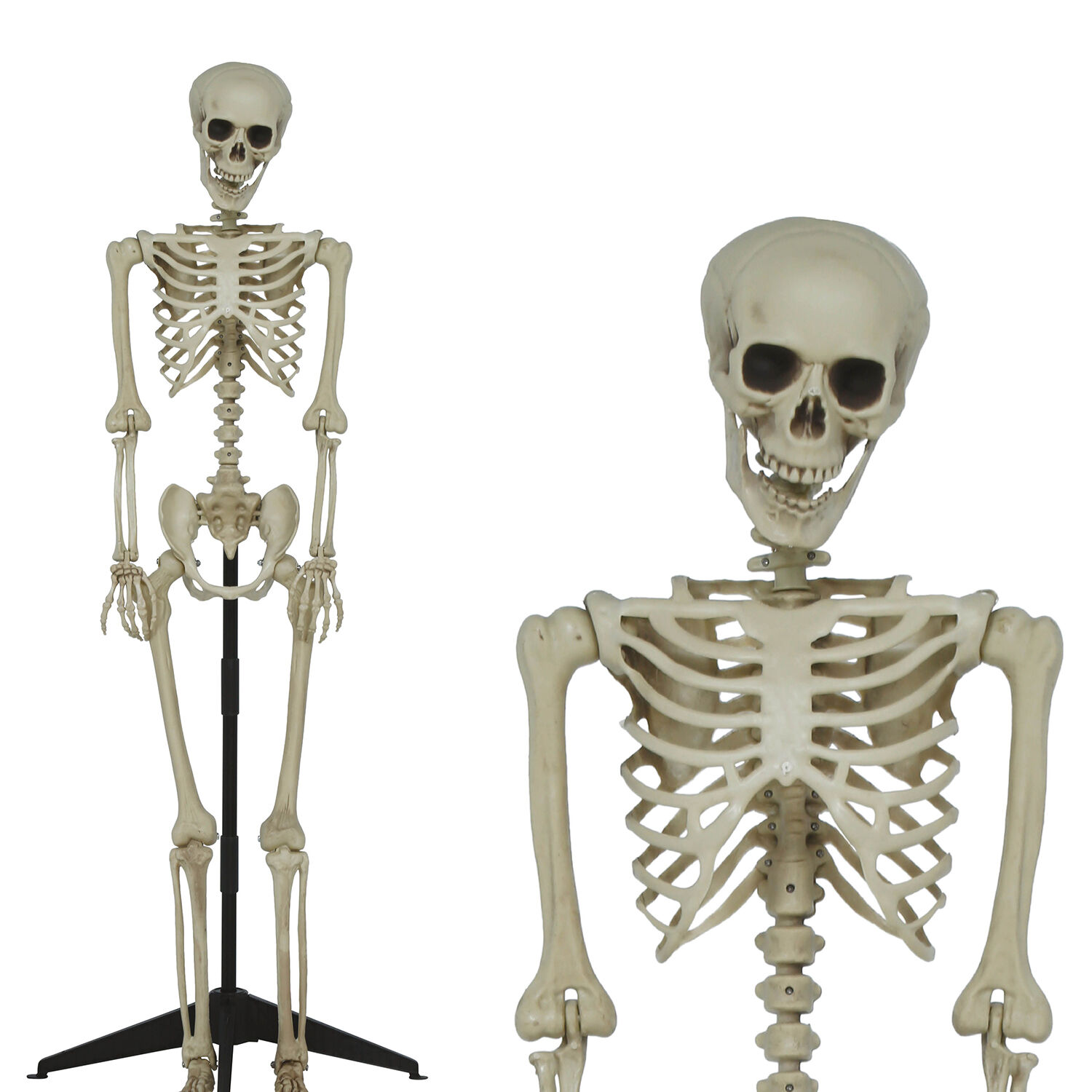 NEU Halloween Deko Skelett mit St�nder, ca. 155cm