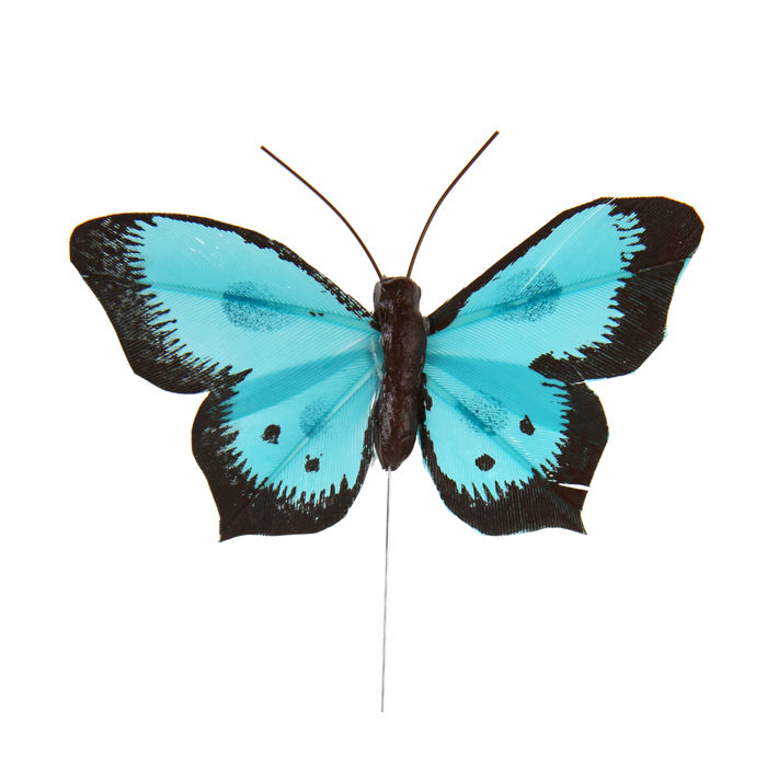 Schmetterlinge, türkis-schwarz, 6 Stück