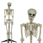 NEU Halloween Deko Skelett mit St�nder, ca. 155cm