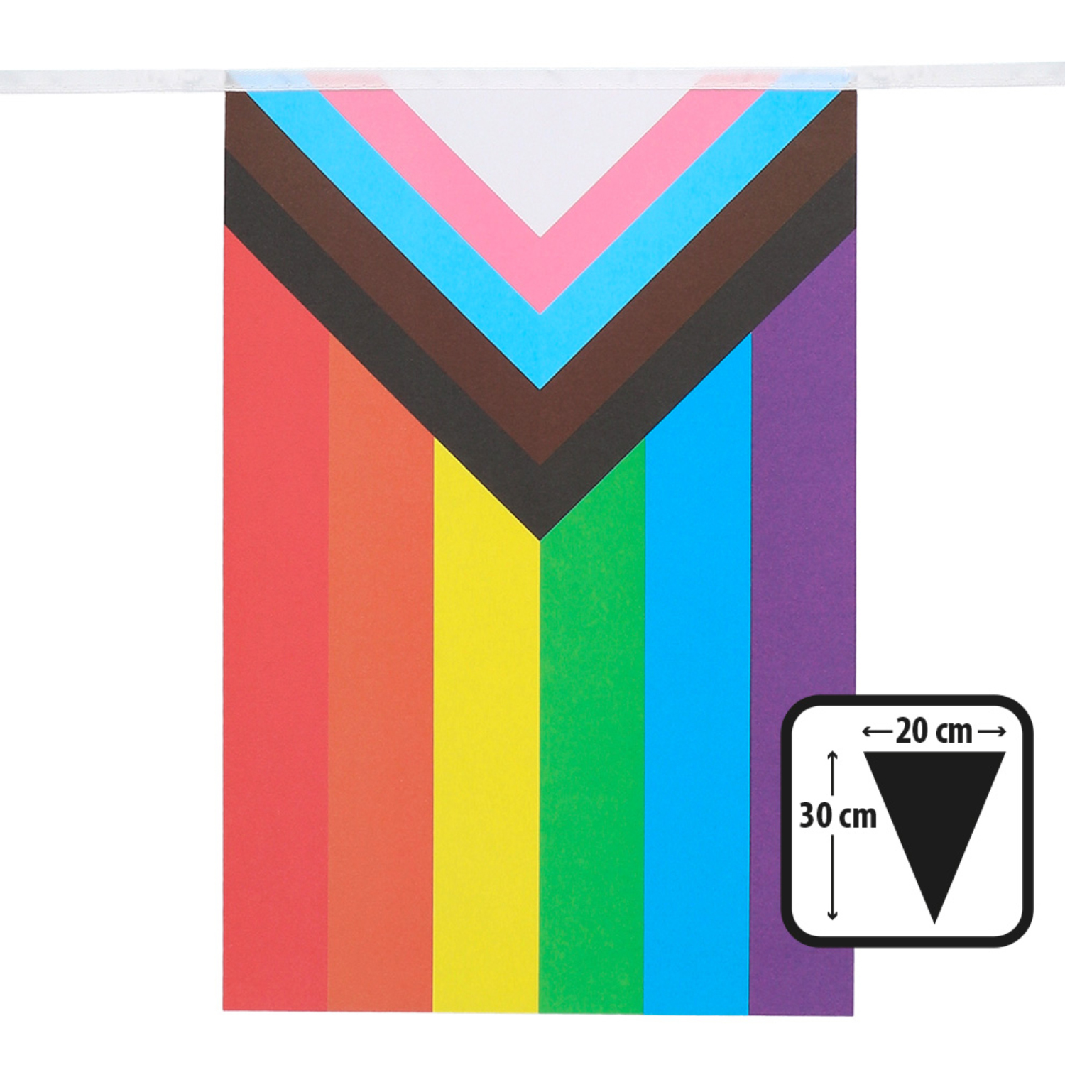 NEU Fahnenkette Progress Pride, mit 30x20cm Fähnchen, 6m Bild 2