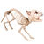 SALE Skelett Katze, 60 cm, stehend
