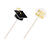 NEU Cocktail-Picker Graduation, 12 St�ck mit verschiedenen Motiven Bild 2