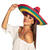 NEU Sombrero bunt, ca. 49cm, auch fr Kinder geeignet Bild 2