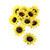 NEU Sonnenblumen-Sortiment, 12 Stck, ca. 8cm Durchmesser