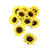 SALE Sonnenblumen-Sortiment, 12 Stck, ca. 8cm Durchmesser