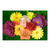 SALE Blten-Sortiment Blumen-Mix, sortierte Farben, 10 Stck