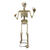 NEU Halloween-Deko-Figur Skelett ca. 150cm, mit Licht und Sound