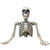 Dekofigur Skelett-Torso, Oberk�rperskelett, 104cm