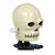 NEU Halloween-Spielzeug Totenkopf zum Aufziehen