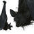 NEU Halloween Deko H�ngende Fledermaus, ca. 50cm