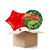 NEU Ballongre Dinosaurier Birthday, 35cm, 2 Ballons