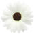 SALE Blumen Streudeko, weiß, 5 cm, 24 Stk.