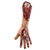 Zerstückelter Zombie-Arm, ca. 41 cm