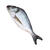 NEU Kostm-Zubehr Deko Fisch, 55cm