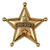 NEU Sheriff-Stern mit Anstecker, gold