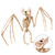 NEU Halloween-Deko-Figur Fledermaus-Skelett, 30cm