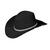 NEU Hut Cowboy mit Glitter-Sternen, schwarz