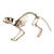 SALE Skelett Katze, ca. 50 cm, stehend